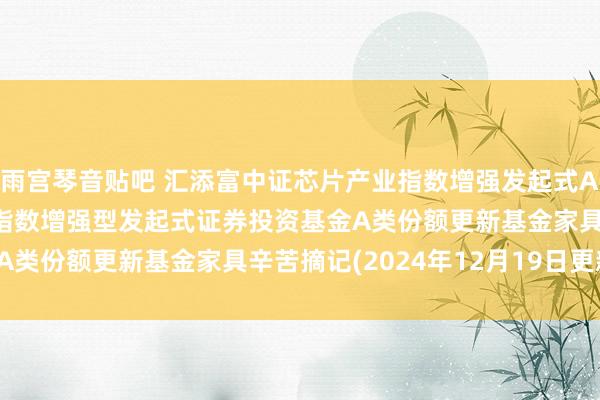雨宫琴音贴吧 汇添富中证芯片产业指数增强发起式A: 汇添富中证芯片产业指数增强型发起式证券投资基金A类份额更新基金家具辛苦摘记(2024年12月19日更新)