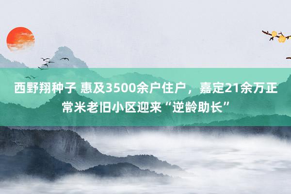 西野翔种子 惠及3500余户住户，嘉定21余万正常米老旧小区迎来“逆龄助长”