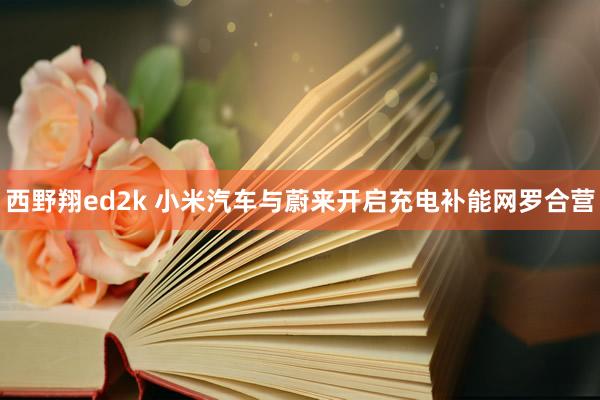 西野翔ed2k 小米汽车与蔚来开启充电补能网罗合营