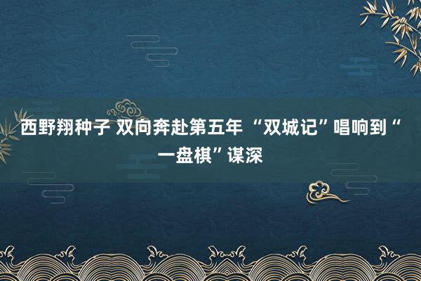 西野翔种子 双向奔赴第五年 “双城记”唱响到“一盘棋”谋深