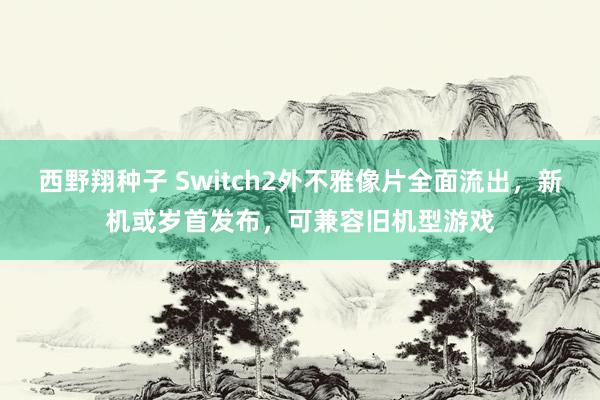 西野翔种子 Switch2外不雅像片全面流出，新机或岁首发布，可兼容旧机型游戏