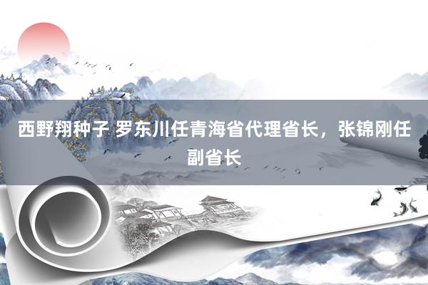 西野翔种子 罗东川任青海省代理省长，张锦刚任副省长
