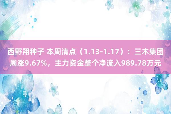 西野翔种子 本周清点（1.13-1.17）：三木集团周涨9.67%，主力资金整个净流入989.78万元