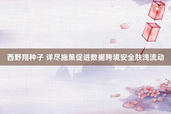 西野翔种子 详尽施策促进数据跨境安全肤浅流动