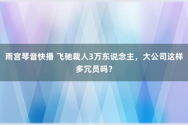 雨宫琴音快播 飞驰裁人3万东说念主，大公司这样多冗员吗？