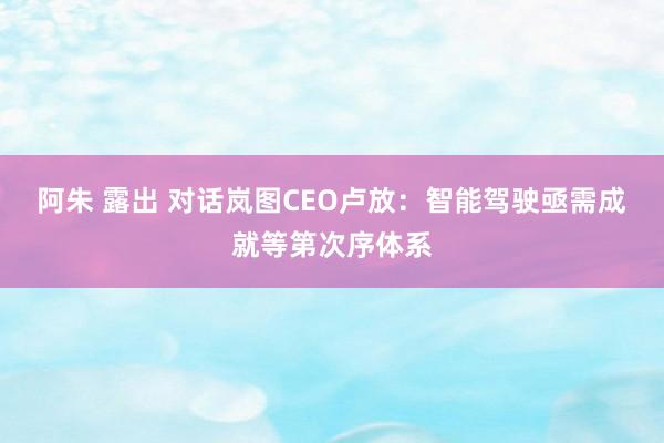 阿朱 露出 对话岚图CEO卢放：智能驾驶亟需成就等第次序体系