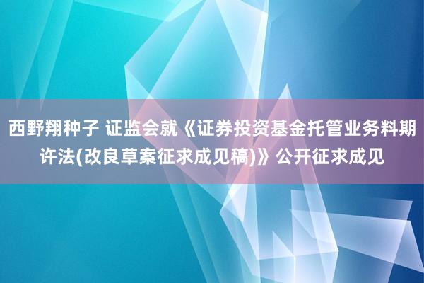西野翔种子 证监会就《证券投资基金托管业务料期许法(改良草案征求成见稿)》公开征求成见