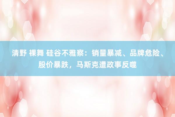 清野 裸舞 硅谷不雅察：销量暴减、品牌危险、股价暴跌，马斯克遭政事反噬