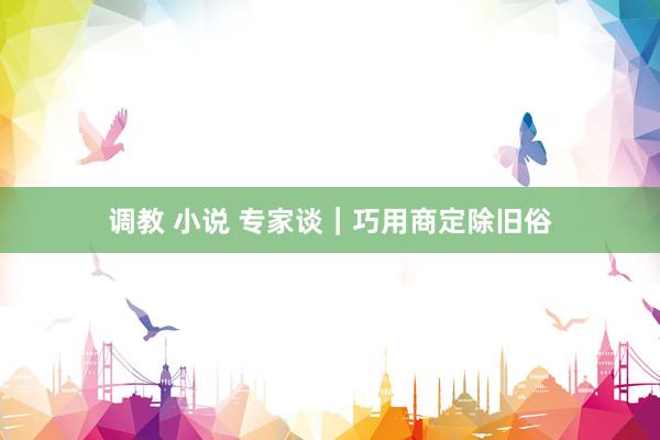 调教 小说 专家谈｜巧用商定除旧俗