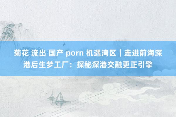 菊花 流出 国产 porn 机遇湾区｜走进前海深港后生梦工厂：探秘深港交融更正引擎