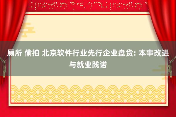 厕所 偷拍 北京软件行业先行企业盘货: 本事改进与就业践诺