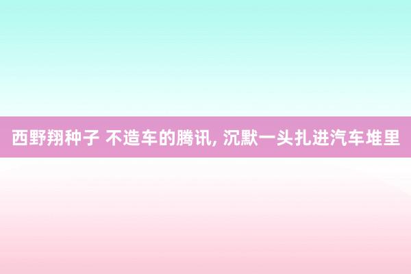 西野翔种子 不造车的腾讯， 沉默一头扎进汽车堆里