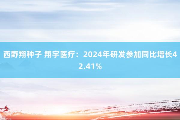 西野翔种子 翔宇医疗：2024年研发参加同比增长42.41%