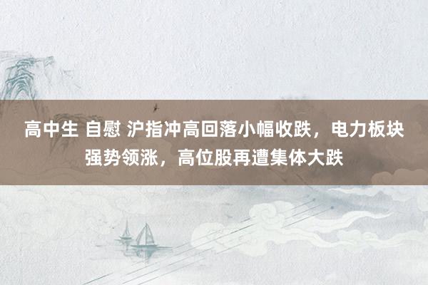 高中生 自慰 沪指冲高回落小幅收跌，电力板块强势领涨，高位股再遭集体大跌
