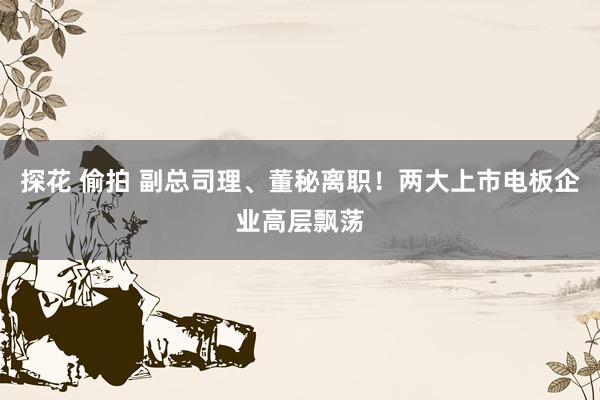 探花 偷拍 副总司理、董秘离职！两大上市电板企业高层飘荡