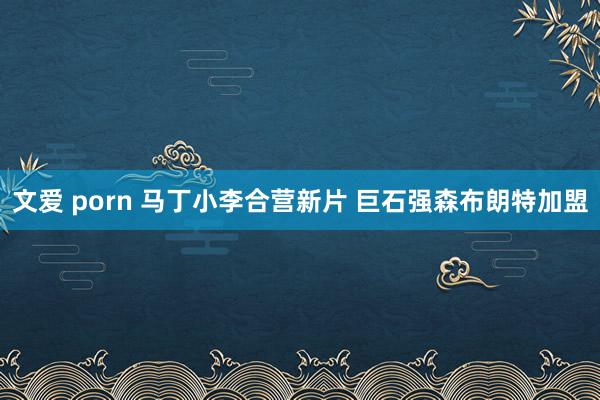 文爱 porn 马丁小李合营新片 巨石强森布朗特加盟
