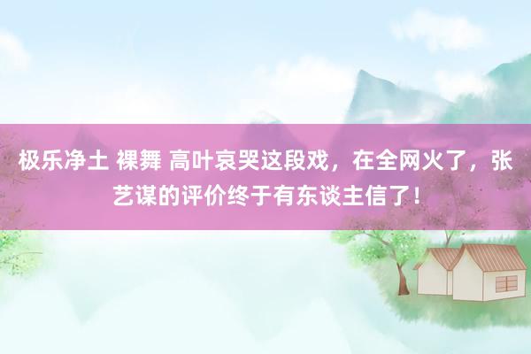 极乐净土 裸舞 高叶哀哭这段戏，在全网火了，张艺谋的评价终于有东谈主信了！